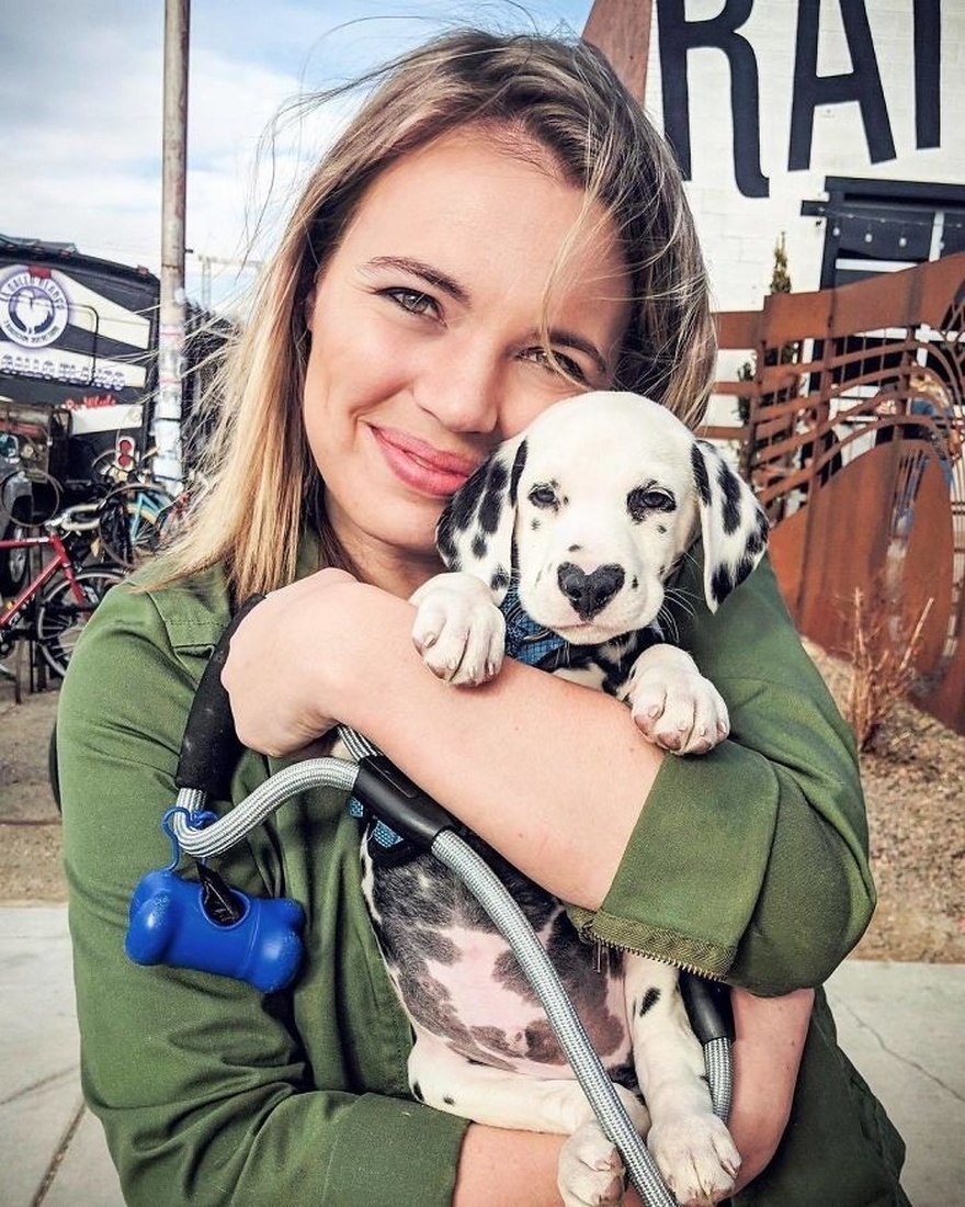 Ο Γουίλεϊ Ο Δαλματίας Με Τη Μύτη-Καρδιά -Λιώνει Το Ίντερνετ