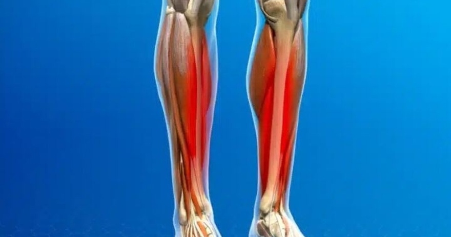 Η βιταμίνη που χρειάζεστε αν σας πονάνε τα πόδια σας και τα κόκαλα σας