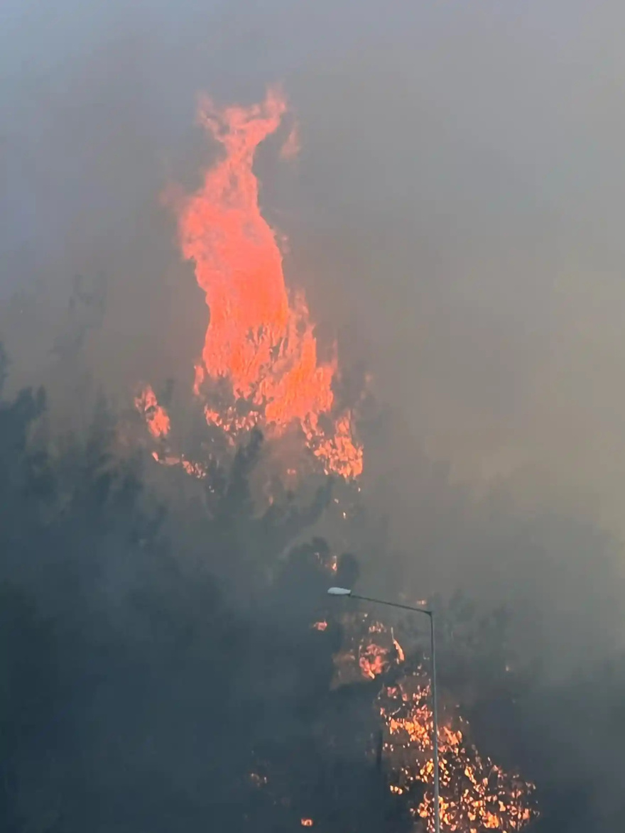 Φωτιά τώρα σε ελληνικό νησί: Καίγεται δασική έκταση – Μεγάλη επιχείρηση της πυροσβεστικής
