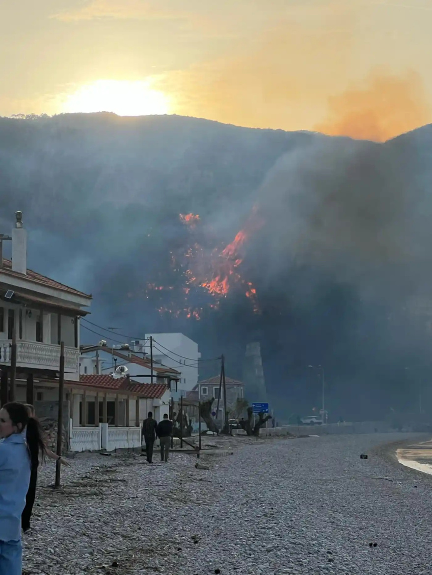 Φωτιά τώρα σε ελληνικό νησί: Καίγεται δασική έκταση – Μεγάλη επιχείρηση της πυροσβεστικής