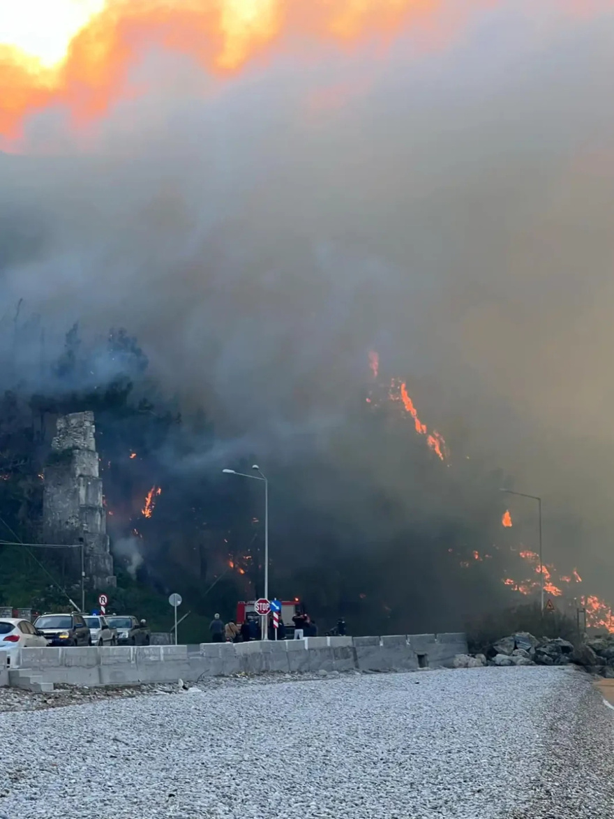 Φωτιά τώρα σε ελληνικό νησί: Καίγεται δασική έκταση – Μεγάλη επιχείρηση της πυροσβεστικής