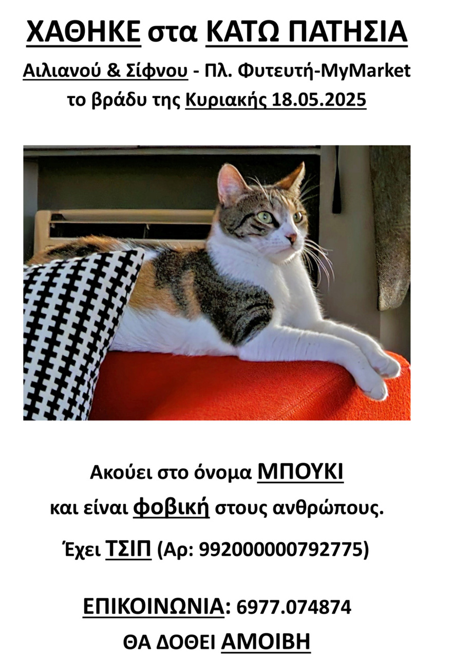 Βοηθήστε να βρεθεί η Μπούκι!