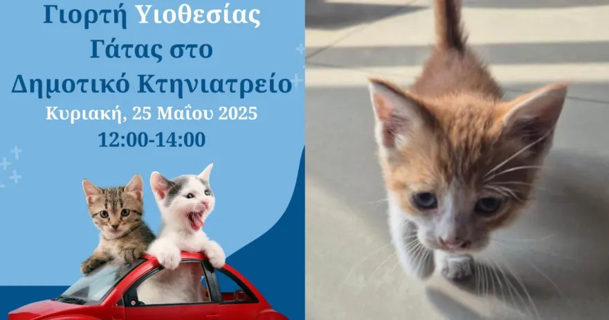 Γιορτή Υιοθεσίας Γάτας στο Δημοτικό Κτηνιατρείο Αθηνών – Μια Μέρα Αγάπης και Νέων Αρχών