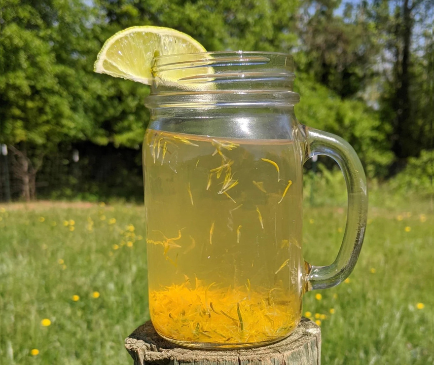 To ρόφημα που πίνουν τα μοντέλα για επίπεδη κοιλιά πριν την πασαρέλα – Με 2 υλικά, καθαρίζει το έντερο