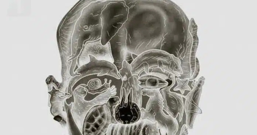 Το περίεργο οπτικό τεστ που υπόσχεται να αποκαλύψει το «χειρότερο ελάττωμά» σας με βάση το πρώτο ζώο που βλέπετε