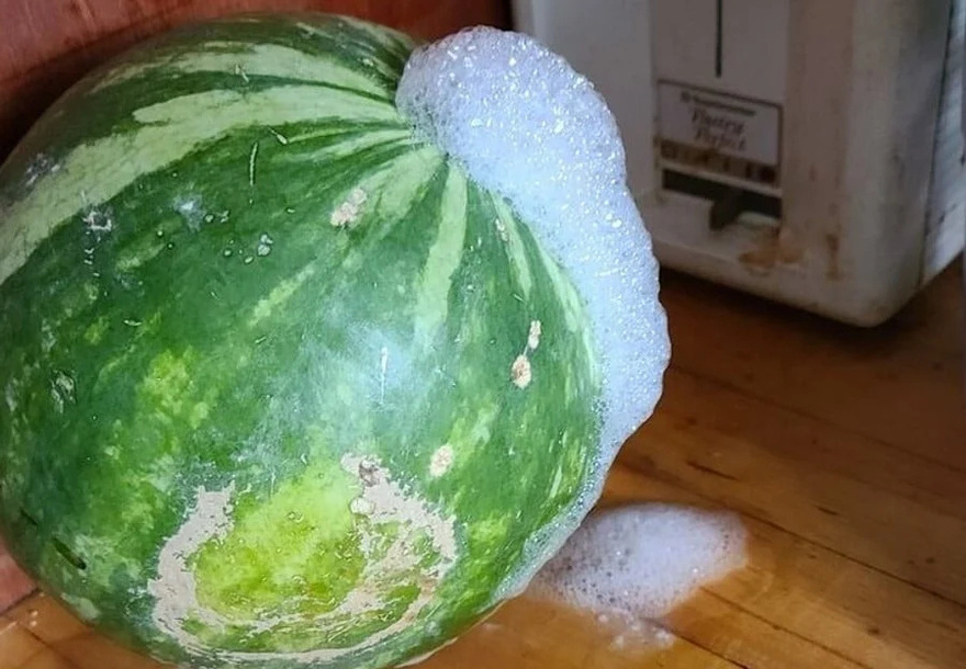 Καρπούζι: Μην αγνοήσετε αυτό το σημάδι και πετάξτε το χωρίς δεύτερη σκέψη
