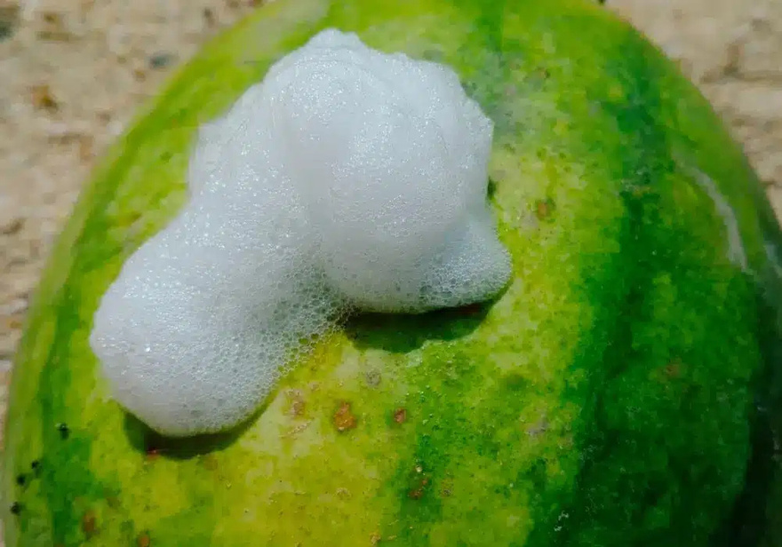 Καρπούζι: Μην αγνοήσετε αυτό το σημάδι και πετάξτε το χωρίς δεύτερη σκέψη