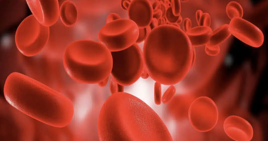 10 σημαντικές πληροφορίες που όλοι πρέπει να γνωρίζουμε για την ομάδα αίματός μας