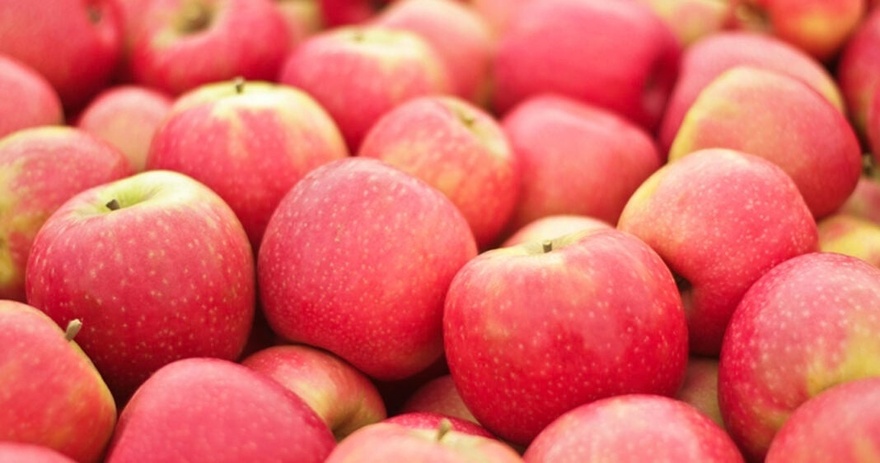 Οι γιατροί αποκαλύπτουν ότι η κατανάλωση μήλων προκαλεί…