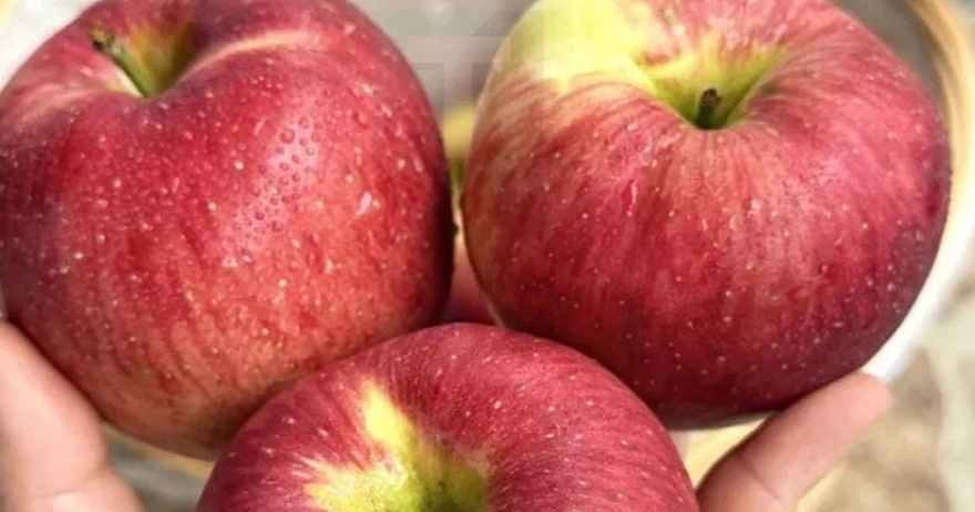 Οι γιατροί αποκαλύπτουν ότι η κατανάλωση μήλων προκαλεί…