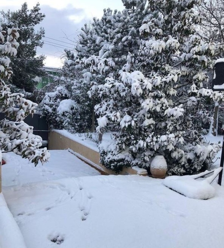 Καταραμένη φτώχεια: Το “φτωχικό” σπίτι της Ελένης Μενεγάκη που θα ζήλευαν πολλοί – Ιδιωτική πισίνα, παιδική χαρά, τεράστια κουζίνα