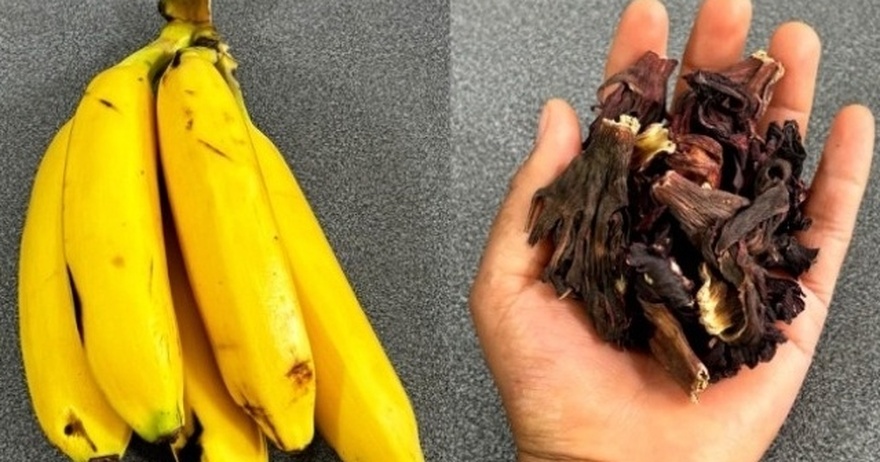 Ο φλοιός που θα αδειάσει τα νοσοκομεία, επειδή θεραπεύει τον…