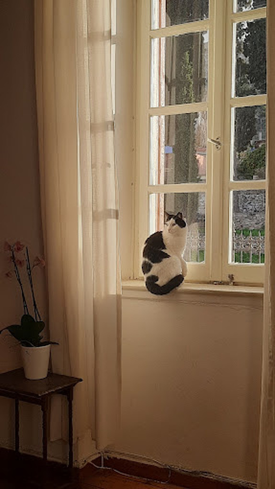 Το Βρυσάκι: Ένα Παραδοσιακό Καφενείο στο Κέντρο της Αθήνας