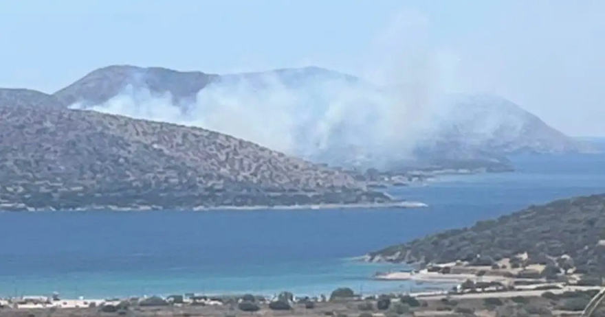 Φωτιά τώρα στην Παλαιά Φώκαια – 112 για εκκένωση της περιοχής Θυμάρι προς Λαγονήσι