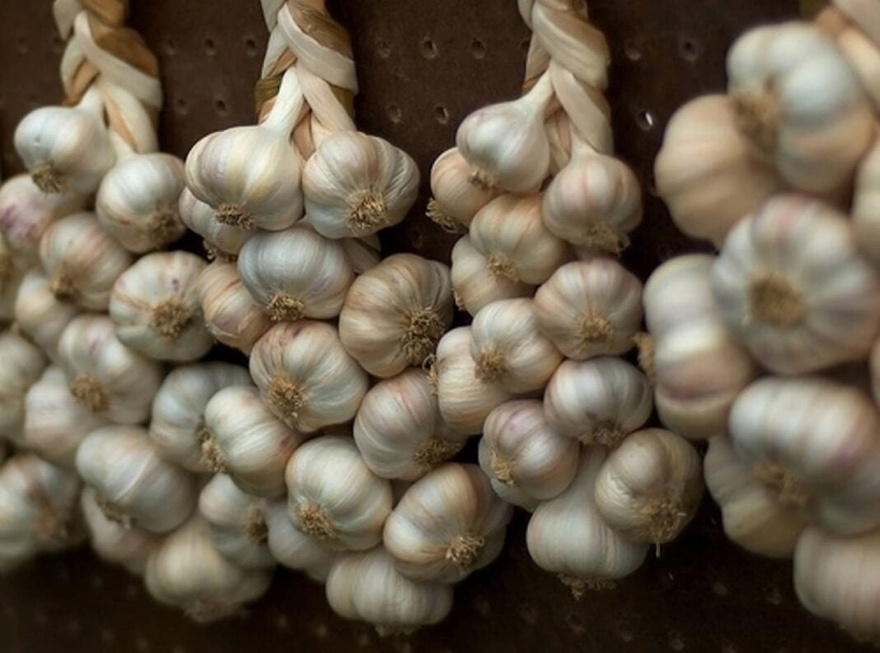 Ακόμα κι αν σας τα δώσουν δωρεάν, μην τα πάρετε αυτά τα σκόρδα