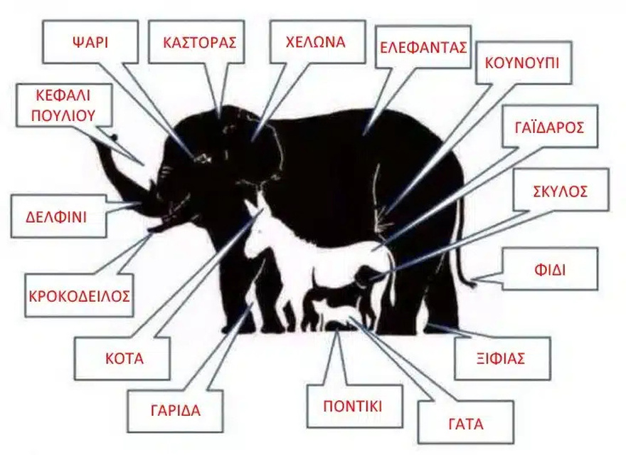 Τεστ παρατηρητικότητας: Βρες τα 16 ζώα που κρύβονται στην εικόνα και απέδειξε ότι ανήκεις στο 4% του πλανήτη
