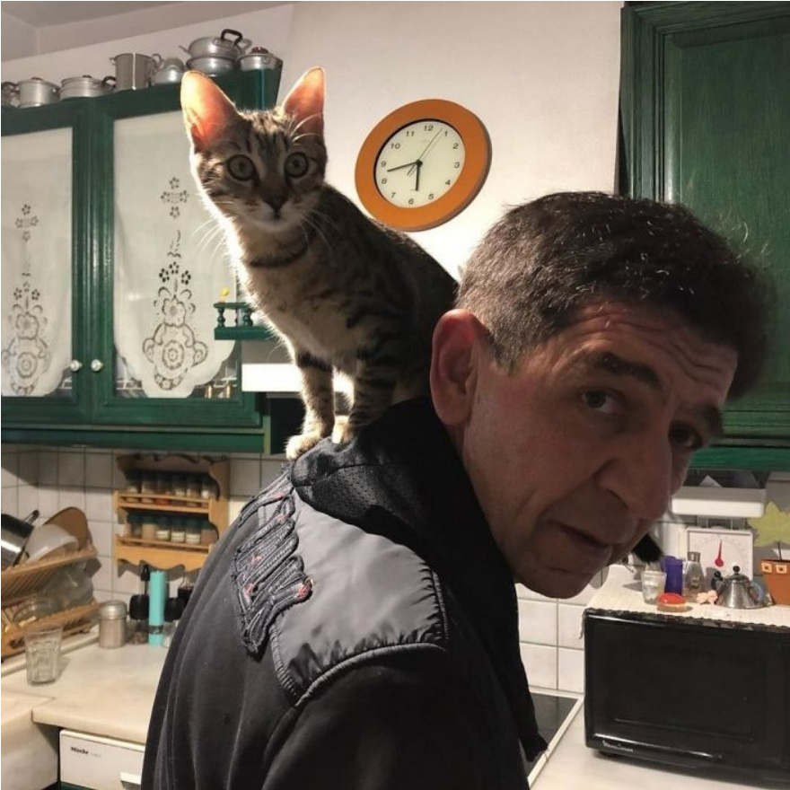 Απλό, ζεστό και και χωρίς πολυτελή έπιπλα: Αυτό είναι το σπίτι της οικογένειας Σκιαδαρέση- Θα μπορούσε να είναι το σπίτι όλων μας