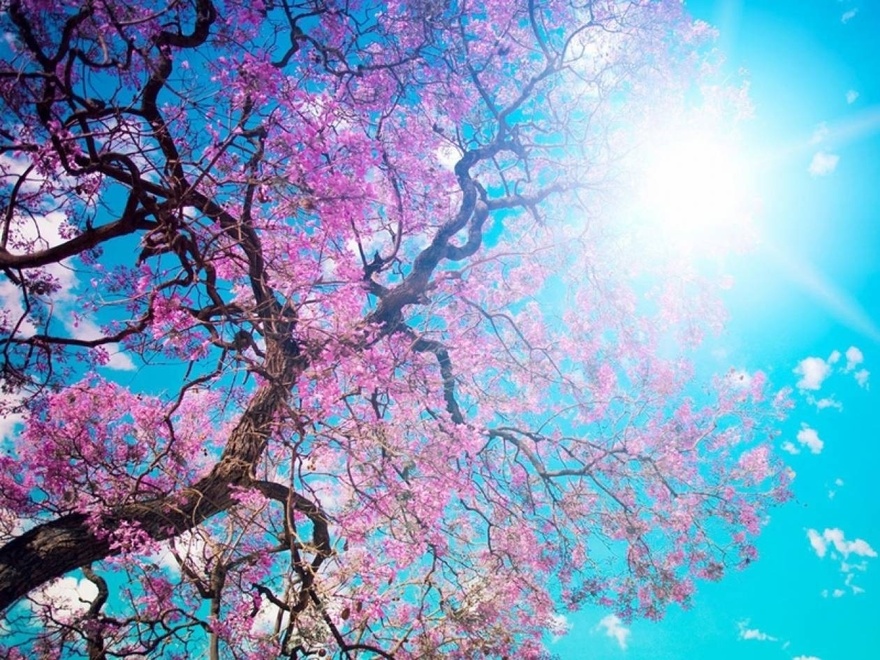 Πάγωσαν ακόμα και οι μετεωρολόγοι: Έρχεται ξανά στην Ελλάδα… βαρύς χειμώνας – Έκτακτο δελτίο της ΕΜΥ και ολική ανατροπή Απρίλη μήνα