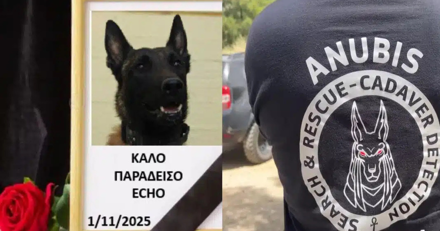 Σκότ…αν τον Echo! Θρήνος για τον σκύλο που συμμετείχε σε έρευνες για τα Τέμπη και για δολοφονίες