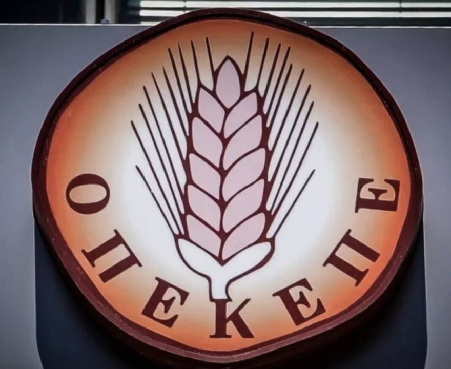 Πρώην διευθύντρια ΟΠΕΚΕΠΕ: «Δεν υφίσταται σκάνδαλο»