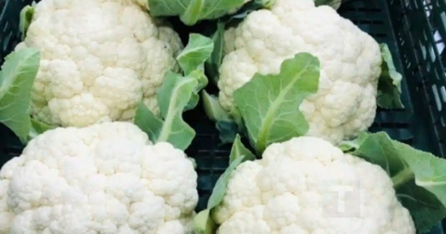 Γιατροί αποκαλύπτουν ότι η κατανάλωση κουνουπιδιού προκαλεί…