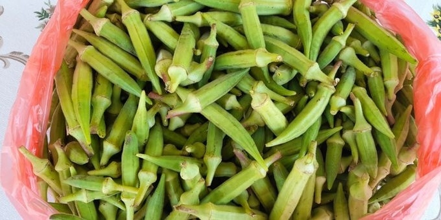 Οι γιατροί αποκαλύπτουν ότι η κατανάλωση μπαμιών προκαλεί…