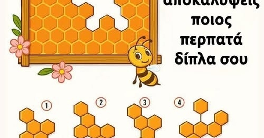 Βρες το κομμάτι της κηρήθρας που λείπει για να αποκαλύψεις ποιος περπατάει δίπλα σου