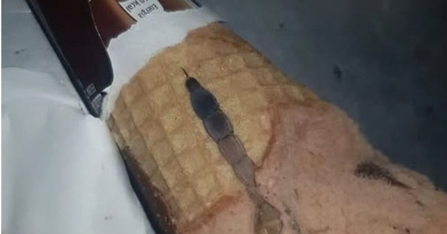 Η κόρη μου άνοιξε ένα παγωτό χωνάκι και βρήκε κάτι παράξενο μέσα, μείναμε άφωνοι όταν συνειδητοποιήσαμε τι ήταν