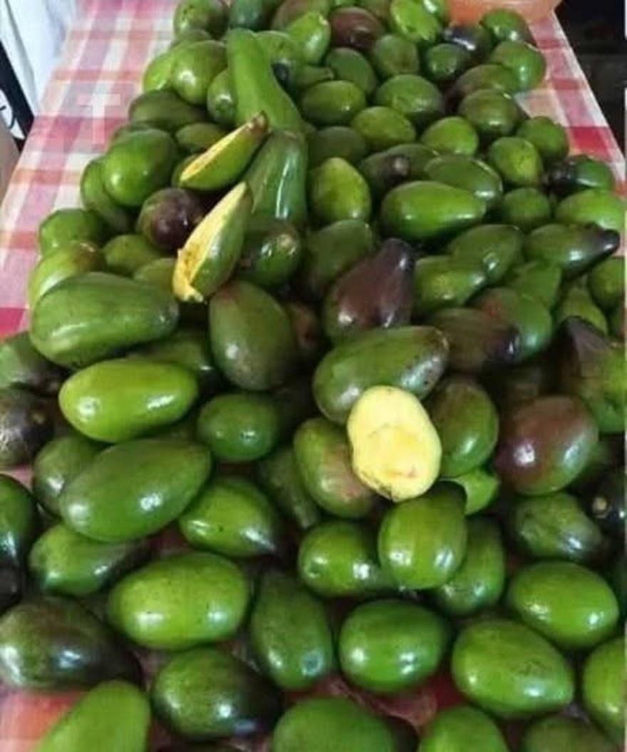 Οι γιατροί αποκαλύπτουν ότι η κατανάλωση αβοκάντο προκαλεί…