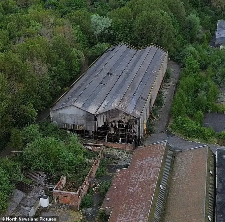 Σύλληψη 14 παιδιών για τον θάνατο ενός ανήλικου – Η τραγική ανακάλυψη