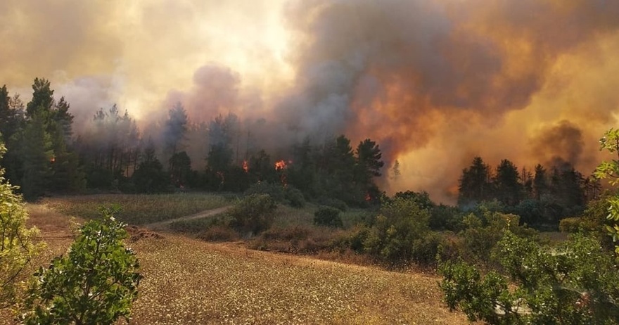 Κόκκινος Συναγερμός: Νέα Μεγάλη Φωτιά Τώρα στην Ελλάδα – Ηχεί το 112, Κινδυνεύουν σπίτια και κάτοικοι – Τι έχει συμβεί